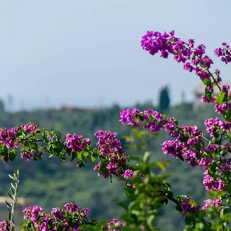 Hintown Rosa 6 Posti Vista Mare Chiavari